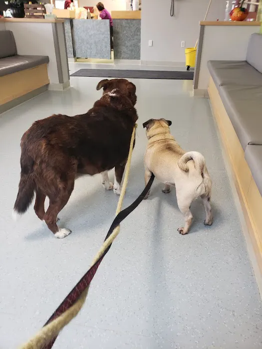 Plains Animal Hospital Picture 10
