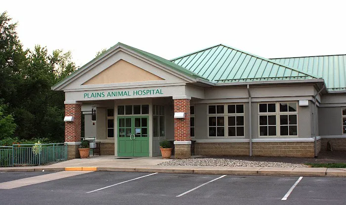 Plains Animal Hospital Picture 5