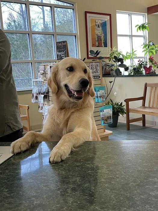 Lanoka Oaks Veterinary Center Picture 6