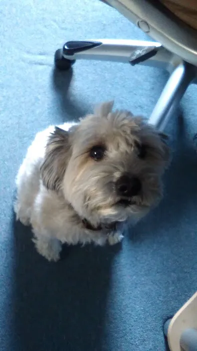 Forked River Animal Hospital Picture 2