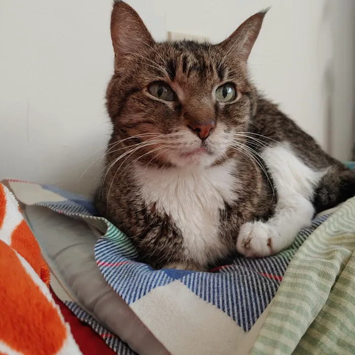 Forked River Animal Hospital Picture 1