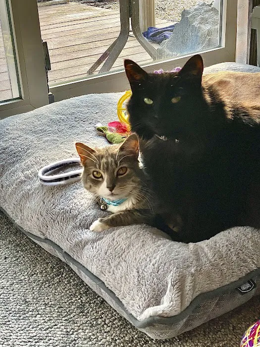 Forked River Animal Hospital Picture 4