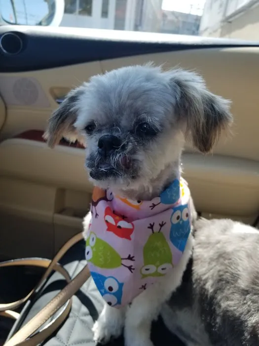 Forked River Animal Hospital Picture 3