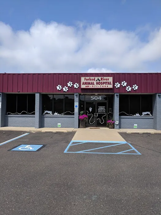 Forked River Animal Hospital Picture 6