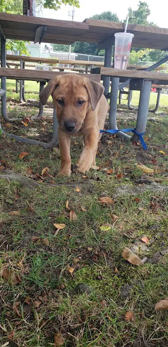 Forked River Animal Hospital Picture 5