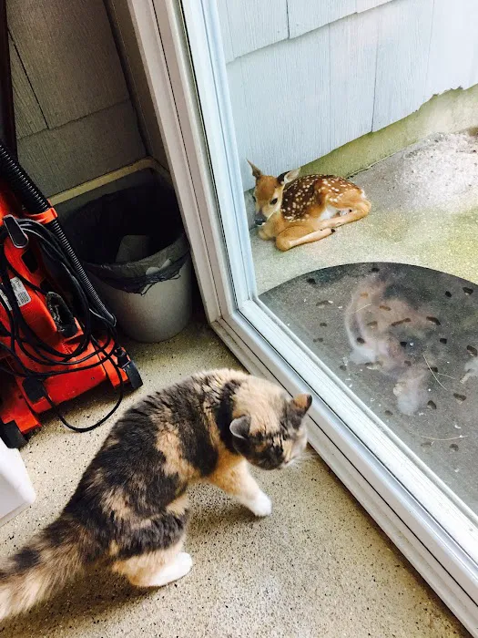 Forked River Animal Hospital Picture 8