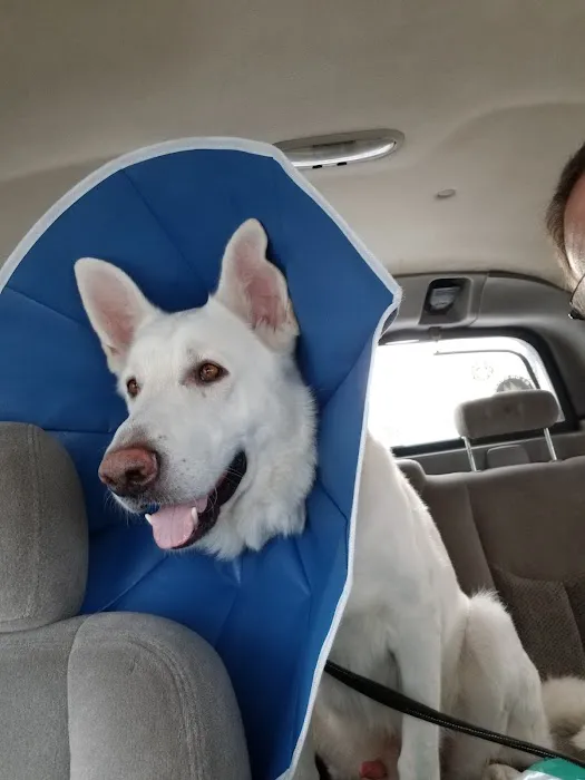 Forked River Animal Hospital Picture 10