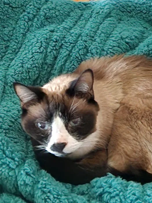 Pinelands Veterinary Hospital Picture 5