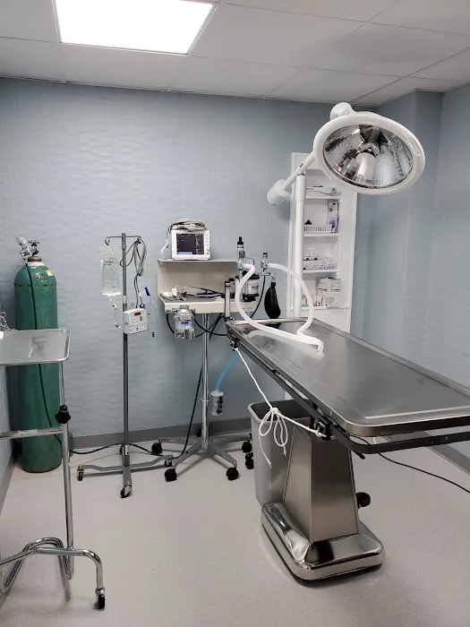 Bayberry Veterinary Hospital Picture 7
