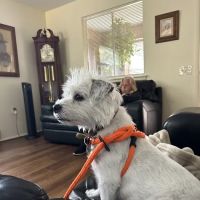 Bayberry Veterinary Hospital ico