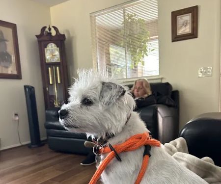Bayberry Veterinary Hospital