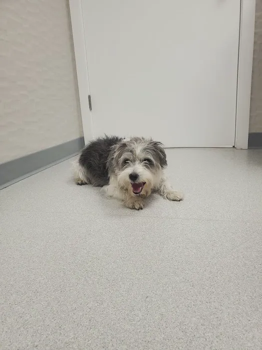 Bayberry Veterinary Hospital Picture 3