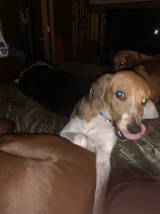 Bayberry Veterinary Hospital Picture 10