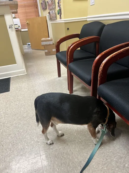 Crestwood Village Veterinary Clinic Picture 1