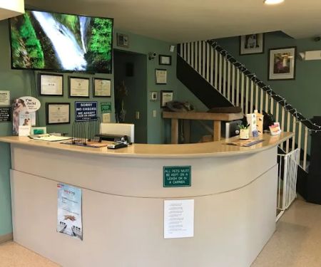 Street Road Animal Hospital