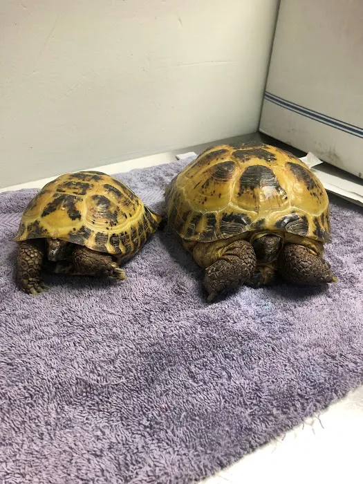 Street Road Animal Hospital Picture 8