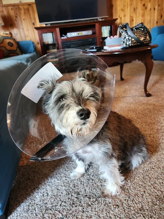 Street Road Animal Hospital Picture 10