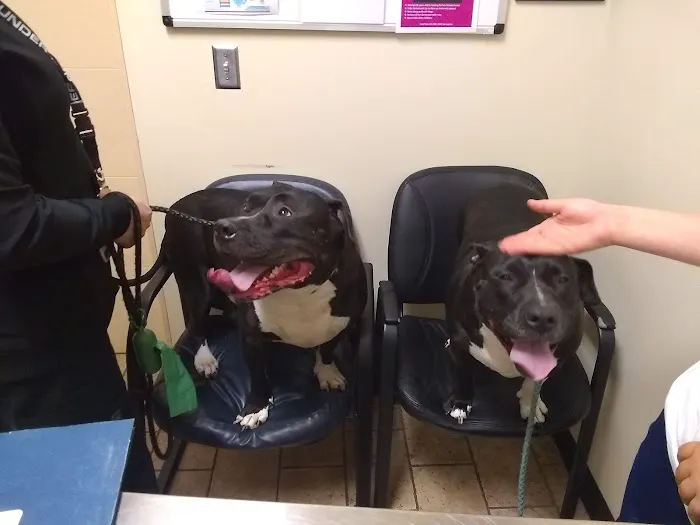 Dutton Road Veterinary Clinic Picture 4