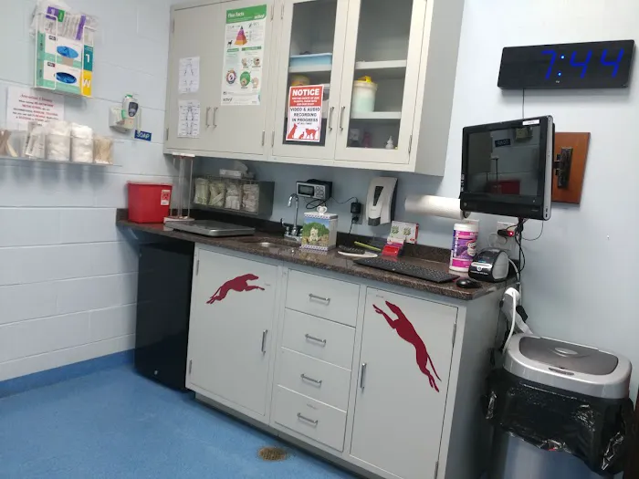 Dutton Road Veterinary Clinic Picture 7