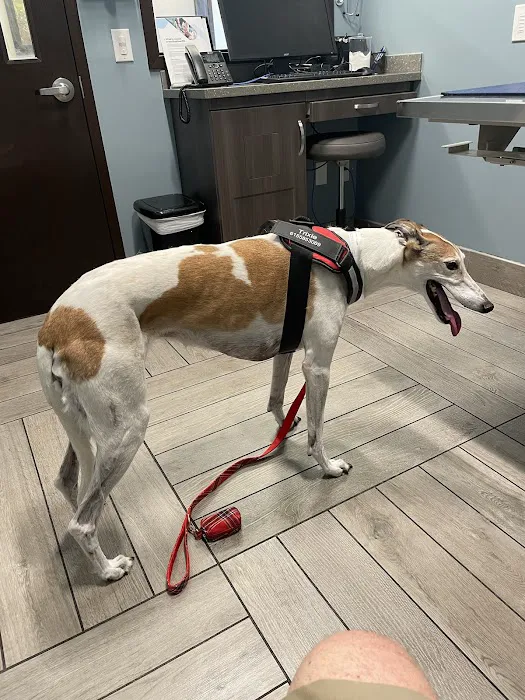 Dutton Road Veterinary Clinic Picture 2