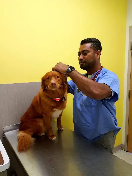 Caring Hands Veterinary Clinic Picture 4