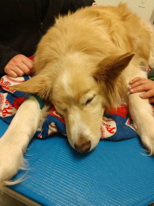 Caring Hands Veterinary Clinic Picture 8