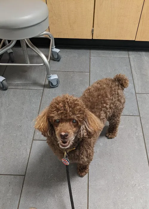 Banfield Pet Hospital Picture 4