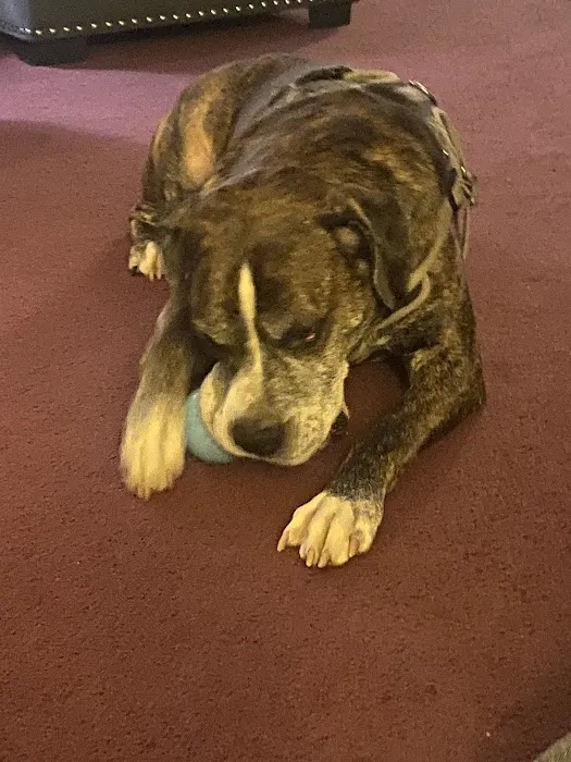 Terry Animal Hospital Picture 6