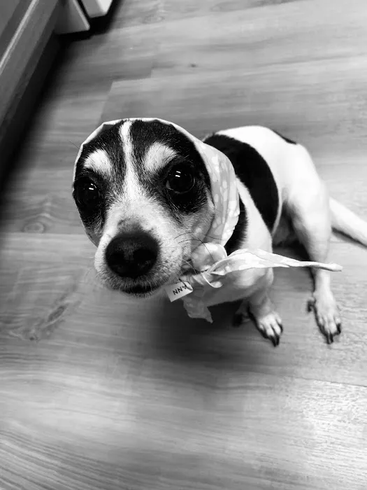 Terry Animal Hospital Picture 5