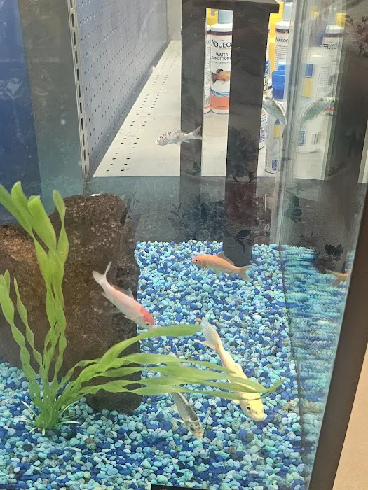 Petco Picture 5