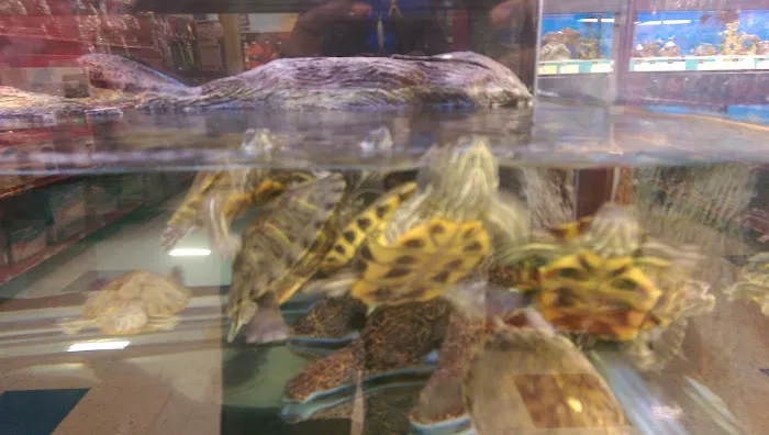 Petco Picture 3
