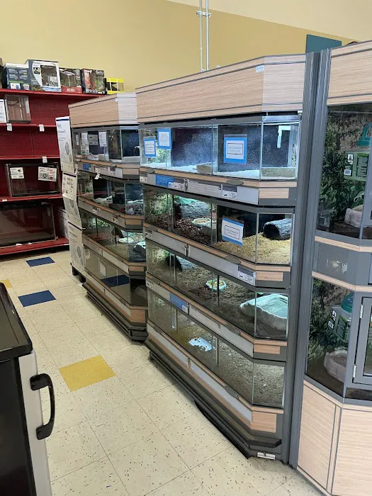Petco Picture 1