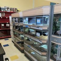 Petco ico