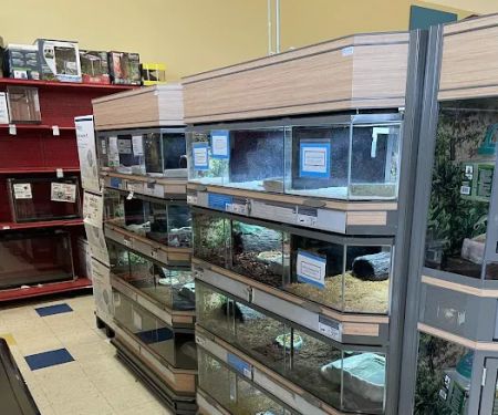 Petco