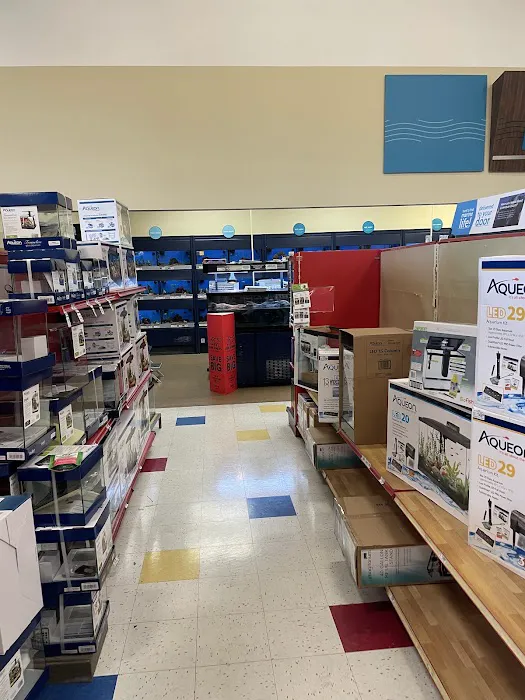 Petco Picture 6