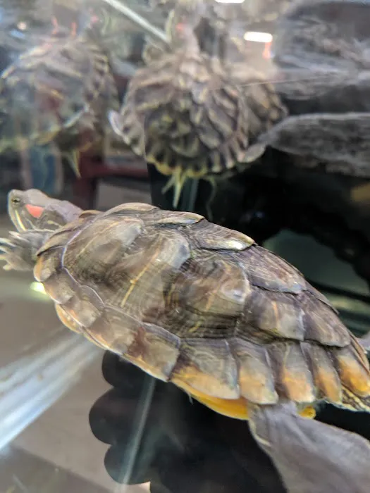 Petco Picture 9