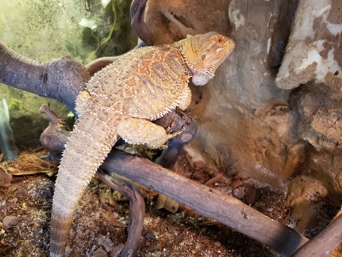 Cross City Exotics Picture 7