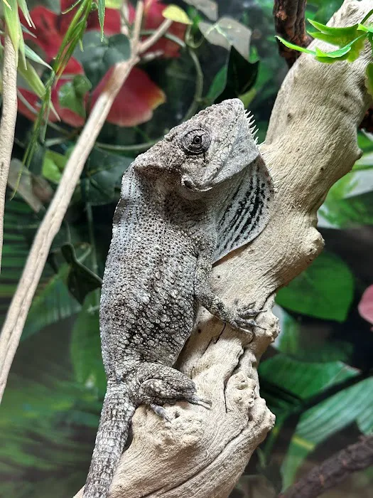 Cross City Exotics Picture 8