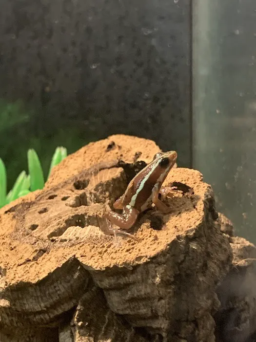 Cross City Exotics Picture 5