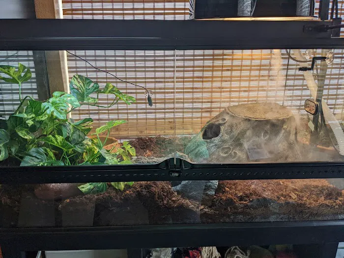 Cross City Exotics Picture 2
