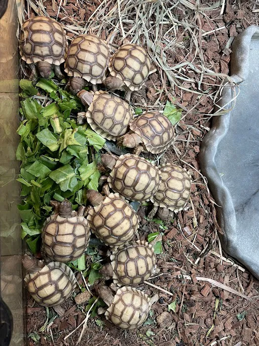 Cross City Exotics Picture 10