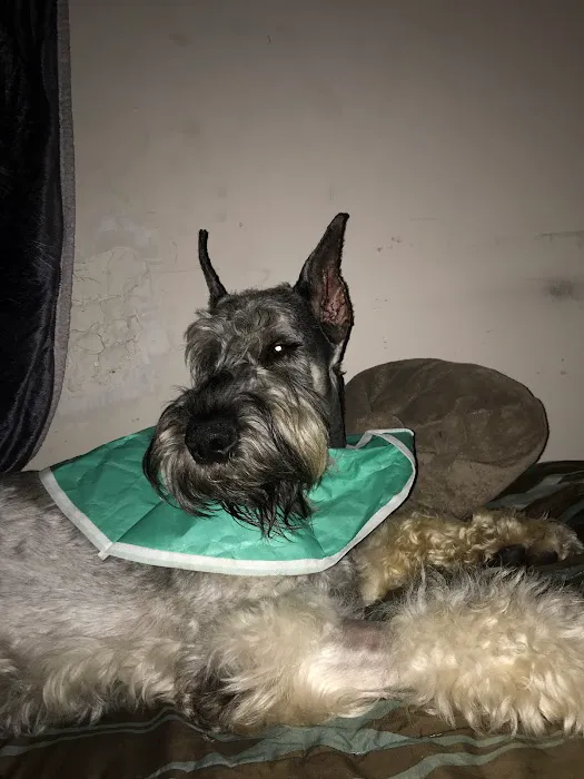 Bree's Animal Hospital Picture 7