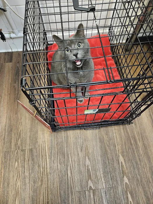 Bree's Animal Hospital Picture 8