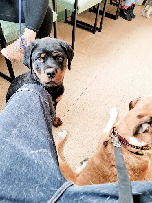Bree's Animal Hospital Picture 1