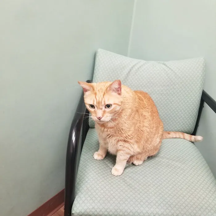 Bree's Animal Hospital Picture 4