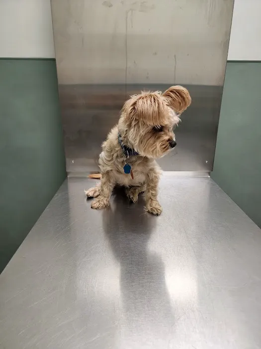 Bree's Animal Hospital Picture 9