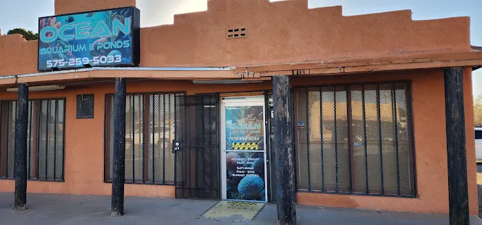 Ocean Aquarium and Ponds Picture 3