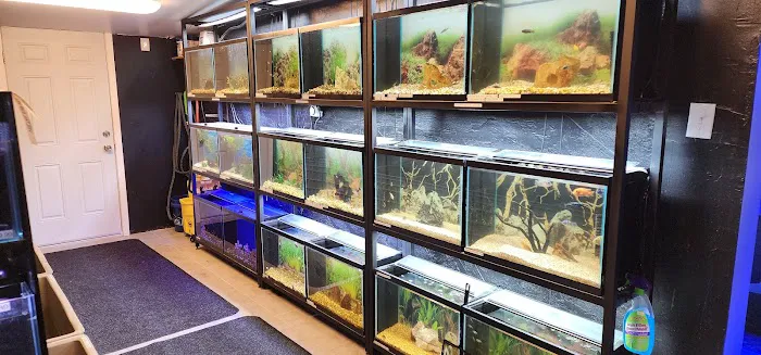 Ocean Aquarium and Ponds Picture 4