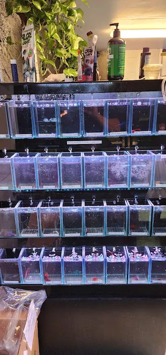 Ocean Aquarium and Ponds Picture 1
