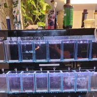 Ocean Aquarium and Ponds ico